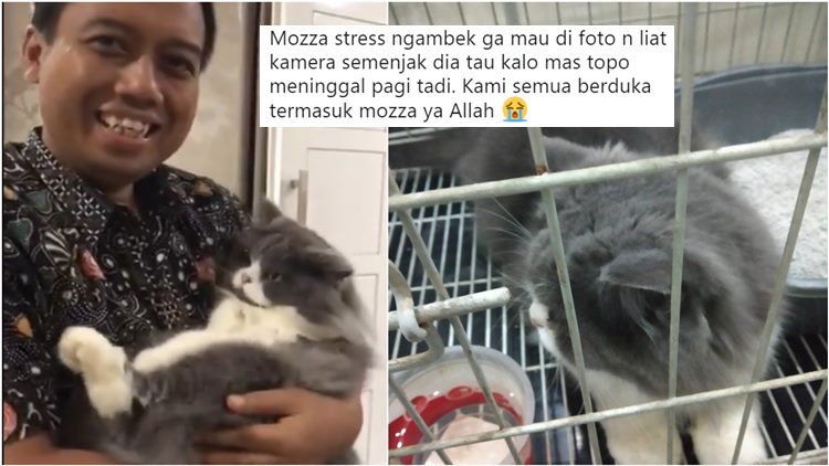 Selepas Kepergian Pak Sutopo, Kucing Kesayangannya Jadi Sorotan Warganet. Mozza Kasihan Banget :(