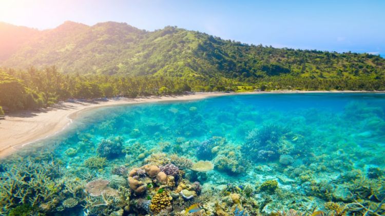 Panduan Liburan ke Lombok Anti Mahal. Trip 3 Hari 2 Malam Cuma 500 Ribuan Aja!