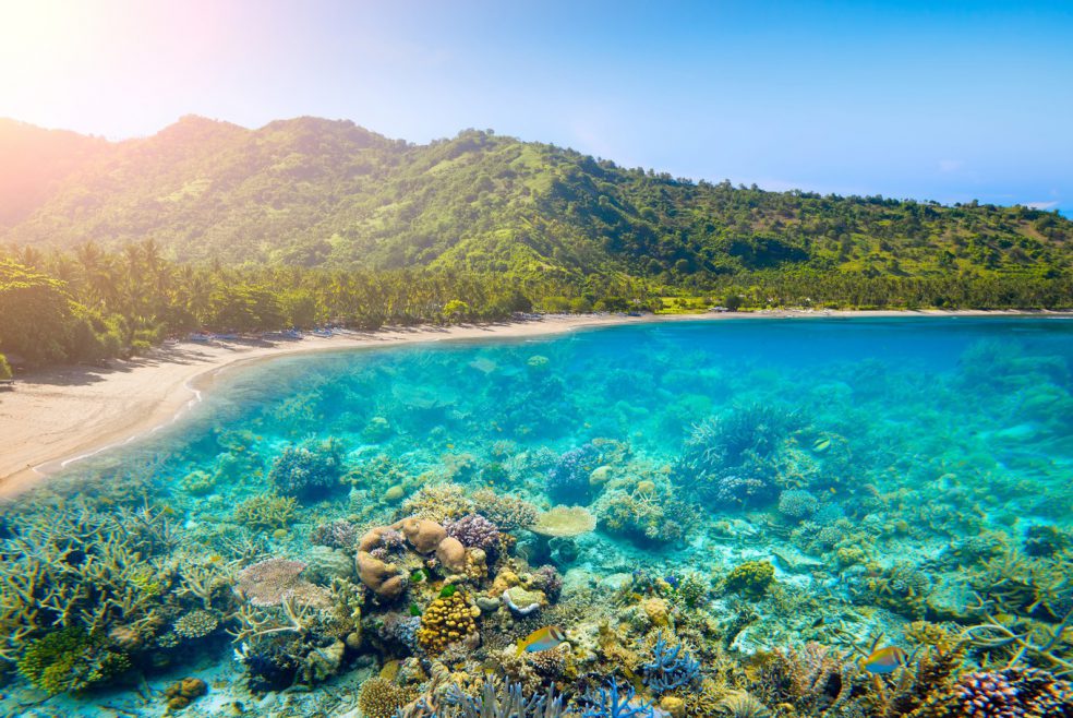 Panduan Liburan ke Lombok Anti Mahal. Trip 3 Hari 2 Malam Cuma 500 Ribuan Aja!