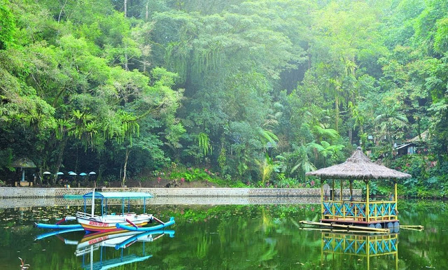 Telaga Rowo Bayu Banyuwangi, Destinasi Wisata yang Hits Setelah Viralnya Kisah KKN Desa Penari!