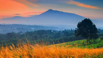 Bukit Wangun, Wisata Alam di Bogor dengan Pemandangan Istimewa. Cocok Untuk Liburan Akhir Pekan!