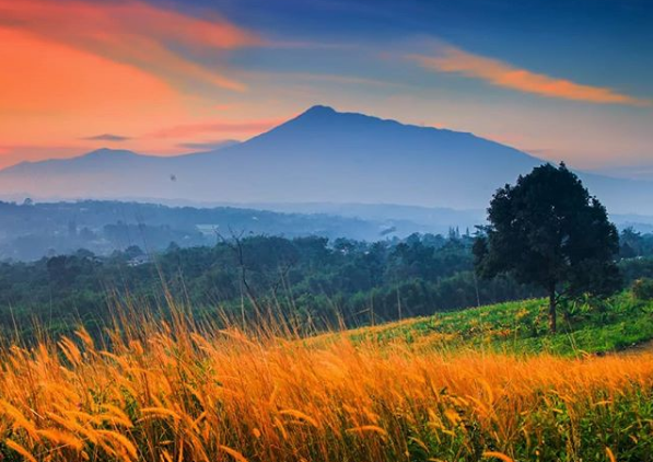 Bukit Wangun, Wisata Alam di Bogor dengan Pemandangan Istimewa. Cocok Untuk Liburan Akhir Pekan!