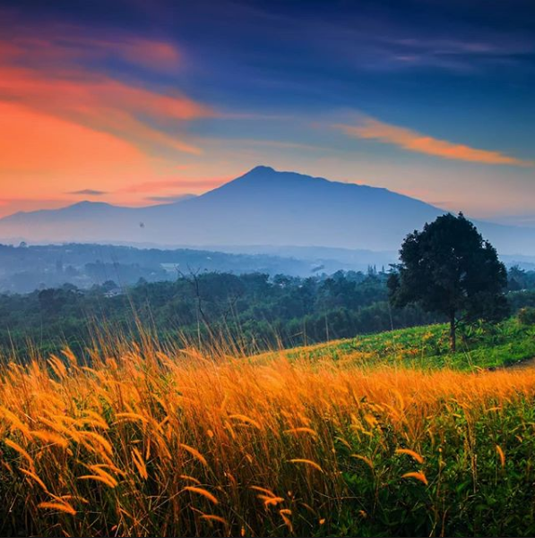 Bukit Wangun, Wisata Alam di Bogor dengan Pemandangan Istimewa. Cocok Untuk Liburan Akhir Pekan!