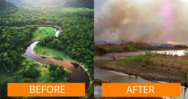 Sederet Bukti Bahwa Kita Sudah Ada di Penghujung Masa, Foto-Foto ini Seolah Turut Berbicara