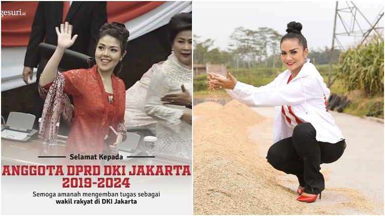 Setelah Tina Toon, Ini 9 Artis Lain yang Siap Dilantik Jadi Anggota DPR RI. Semoga Amanah!