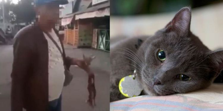 Viral Video Preman Makan Kucing Hidup-hidup, Ternyata Ini Motivasi Gilanya. Baru Ketahuan!