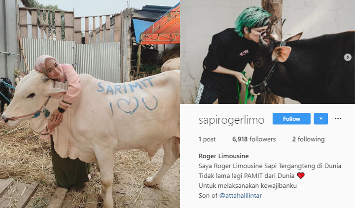 Berbagai Kelakuan Narsis 10 Artis Saat Nyumbang Hewan Kurban. Sampai Dibikinin Akun Instagram!