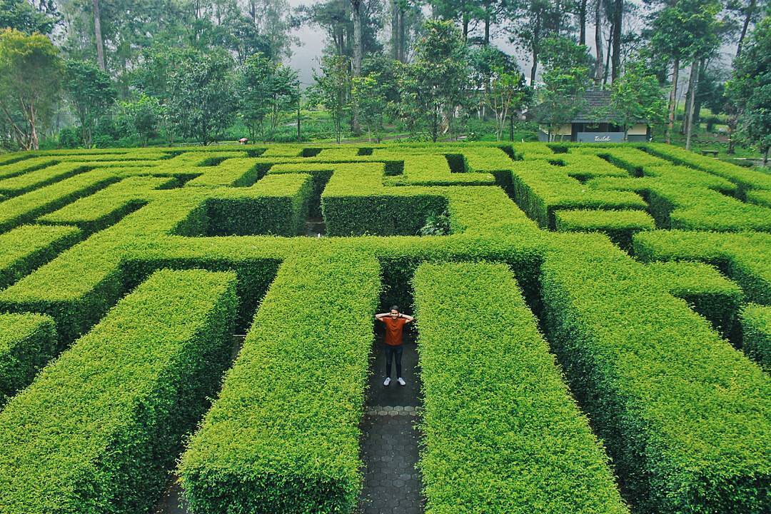 5 Tempat Wisata Hits di Malang. Cocok Banget untuk Berburu Spot Foto Keren Nih!