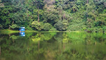 Potret Telaga Warna Puncak Bogor, Sajikan Keindahan Gradasi Warna yang Menakjubkan