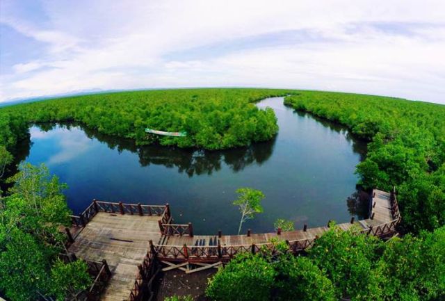 Hutan Lindung