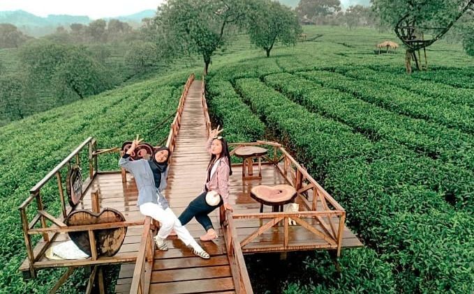 Bukit Kuneer, Destinasi Wisata Alam yang Indah dan Menyejukkan di Malang. Jadi Bikin Males Pulang!