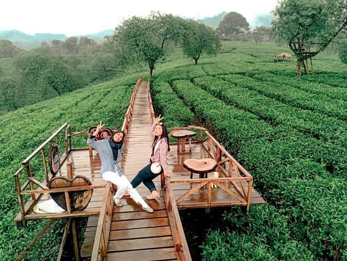 Bukit Kuneer, Destinasi Wisata Alam yang Indah dan Menyejukkan di Malang. Jadi Bikin Males Pulang!