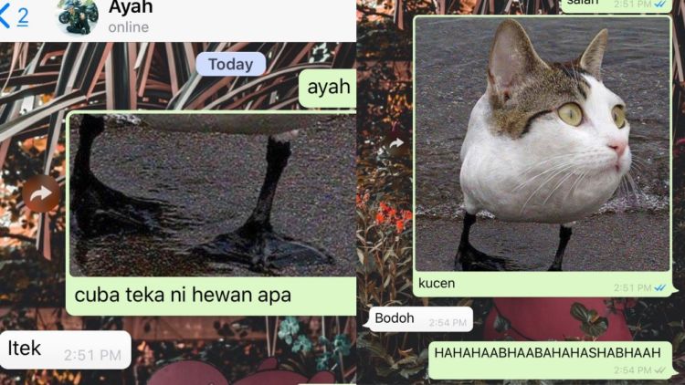 10 Potongan Chat Tebak Gambar ini Bukti Bahwa Orang Malaysia itu Receh juga. Betul, Betul, Betul!