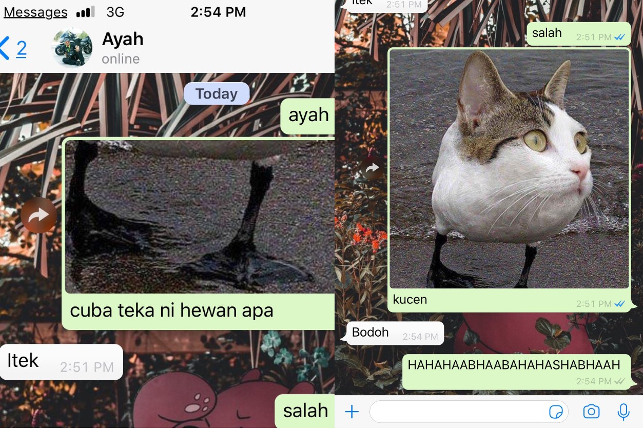 10 Potongan Chat Tebak Gambar ini Bukti Bahwa Orang Malaysia itu Receh juga. Betul, Betul, Betul!