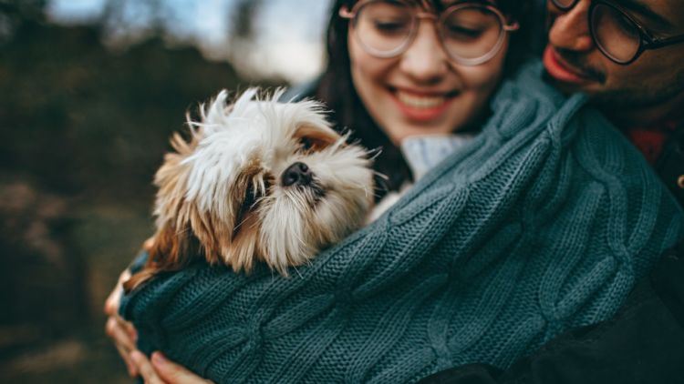 [CERPEN] Wanita, Kekasih Lelaki, dan Anjing Kesayangannya (Part II)