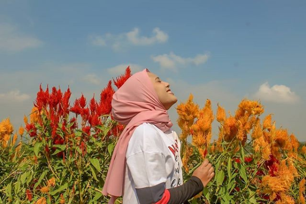 Kampoeng Sawah Telagasari, Areal Sawah yang Disulap Jadi Destinasi Instagramable di Ciamis!