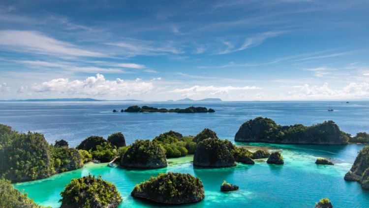 Walau Bujet Terbatas, Bisa Jelajah Spot Instagramable di Raja Ampat dengan Hemat Lho!