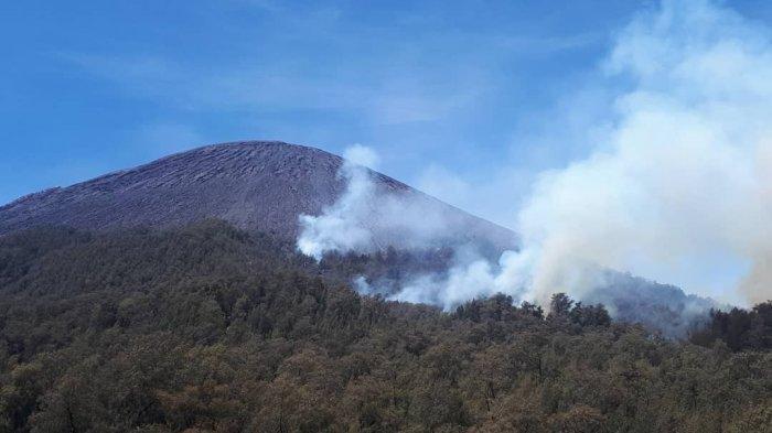 Imbas dari Kebakaran Hutan, Aktivitas Pendakian di Gunung Semeru Ditutup Total!