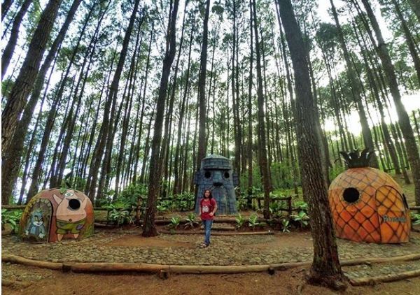 Yuk Mampir ke Rumah Nanas Spongebob di Hutan Pinus Mangunan Bantul. Cocok Buat Foto-foto!