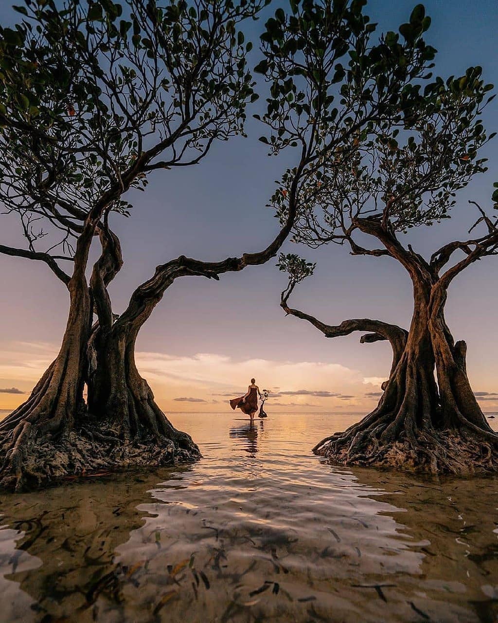 Pantai Walakiri Sumba dengan ‘Dancing Trees’-nya yang Menawan. Sunsetnya Bikin Enggan Pulang!