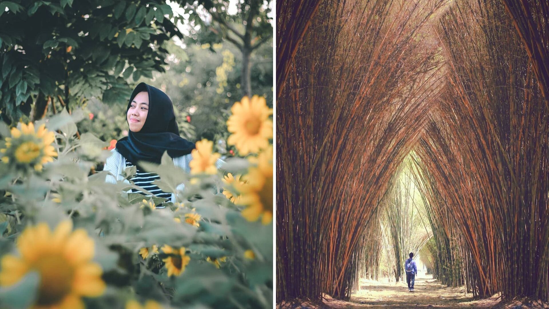 Liburan ke Hutan Bambu di Taman Harmoni Keputih Surabaya. Ada Bunga Matahari Juga Lho!