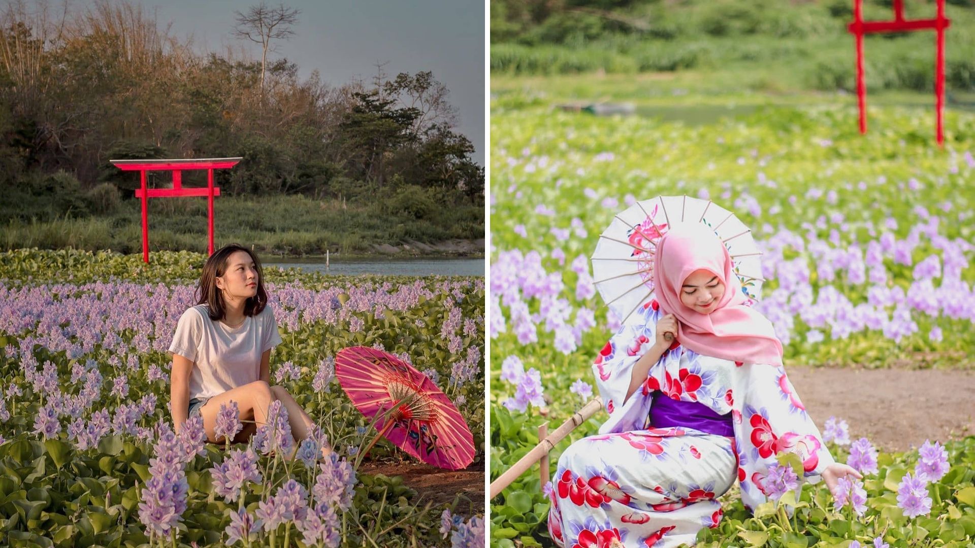 Kalinampu Natural Park, Destinasi Wisata di Bantul yang Serasa Berada di Jepang. Taman Bunganya Cantik!