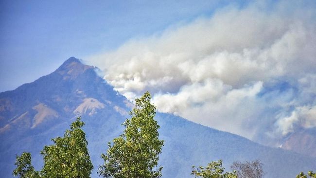 Hutan di Plawangan Senaru Gunung Rinjani Terbakar, Pendakian Ditutup untuk Sementara!