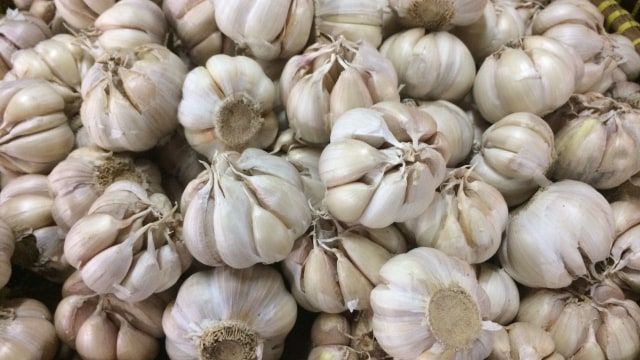 Bawang putih berguna untuk menurunkan risiko penyakit kanker