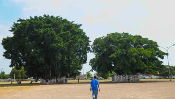 Tentang Mitos Beringin Kembar Alun-Alun Jogja, Kok Gagal Terus ya Mau Jalan Melewatinya?