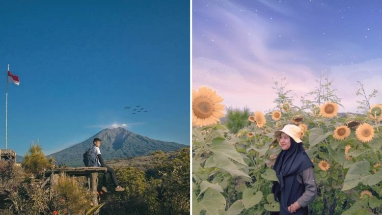 Puncak Asmoro, Tempat Wisata Hits dan Instagramable di Banyuwangi yang Harus Kamu Datangi!