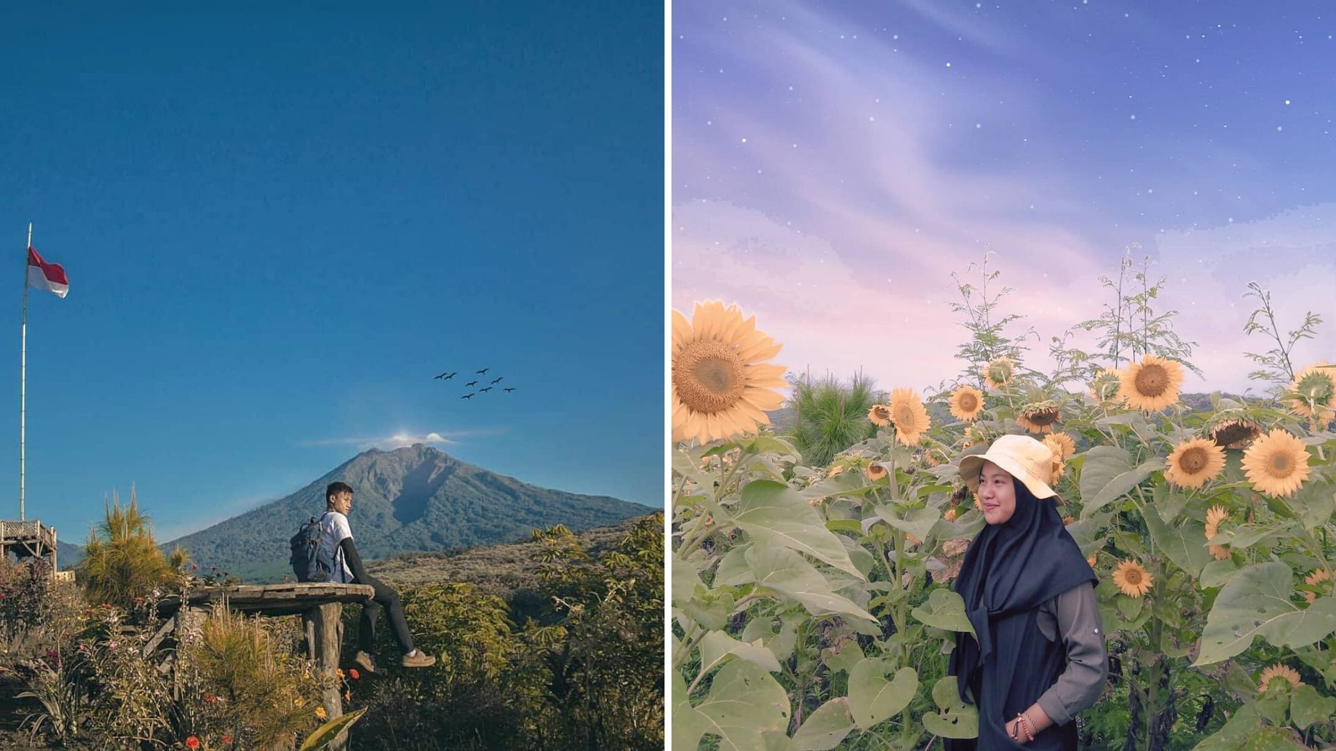 Puncak Asmoro, Tempat Wisata Hits dan Instagramable di Banyuwangi yang Harus Kamu Datangi!