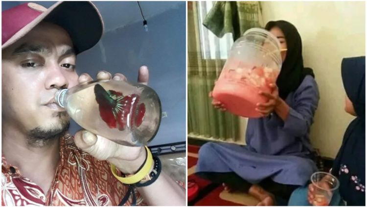 12 Potret Kocak Kelakuan Orang Minum Es. Belum Aja Dimarahin Emak Karena Es Terooos!