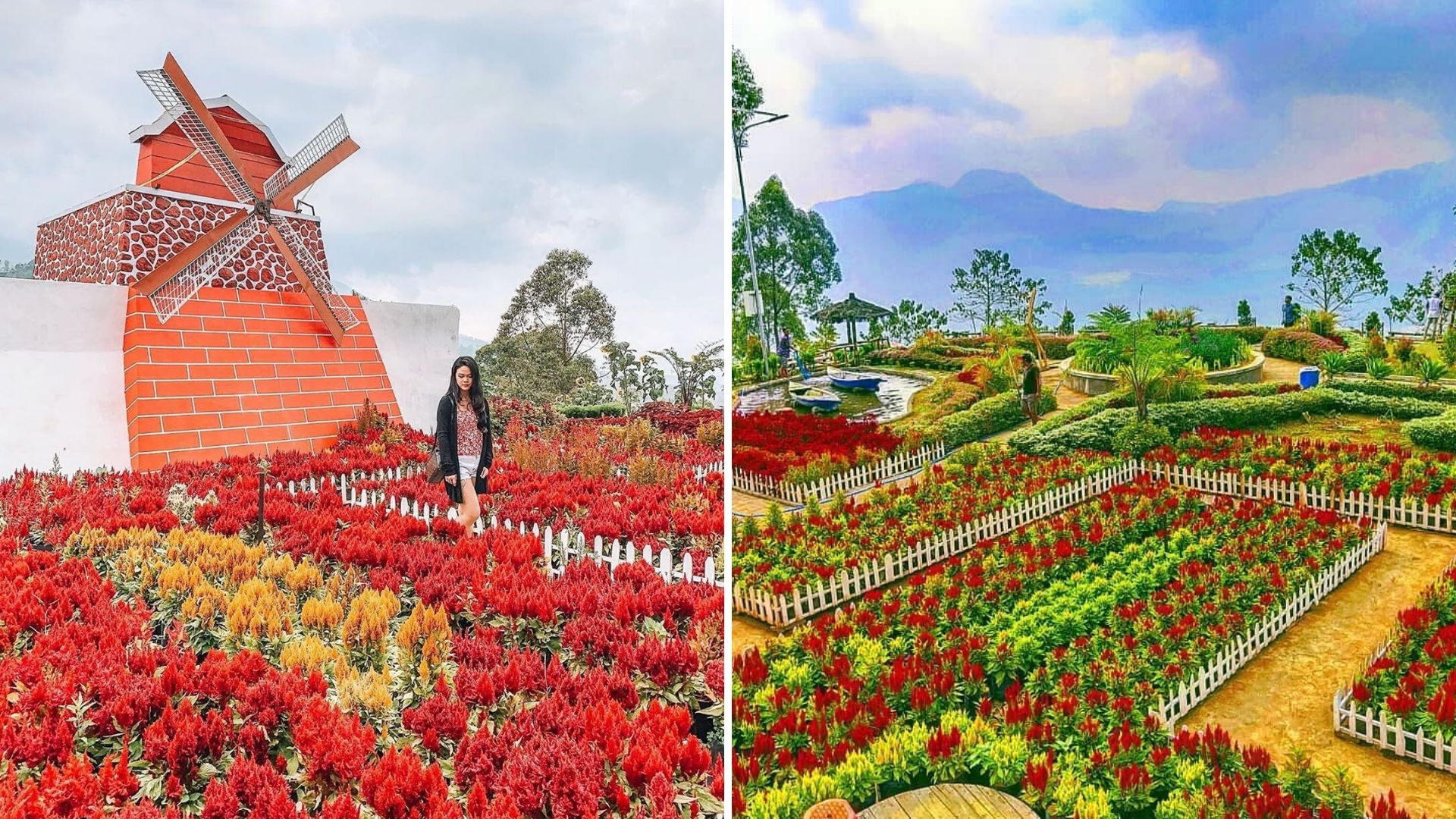 Bukit Nirwana, Destinasi Kekinian yang Bisa Kamu Sambangi di Malang. Cocok Buat Libur Tahun Baruan!