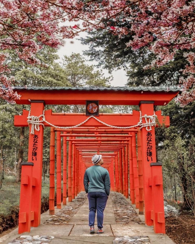 sakura hills tawangmangu