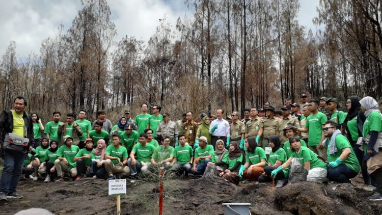 Bareng Generasi Milenial, Djarum Foundation Hijaukan Pegunungan Ijen Usai Kebakaran Oktober Lalu