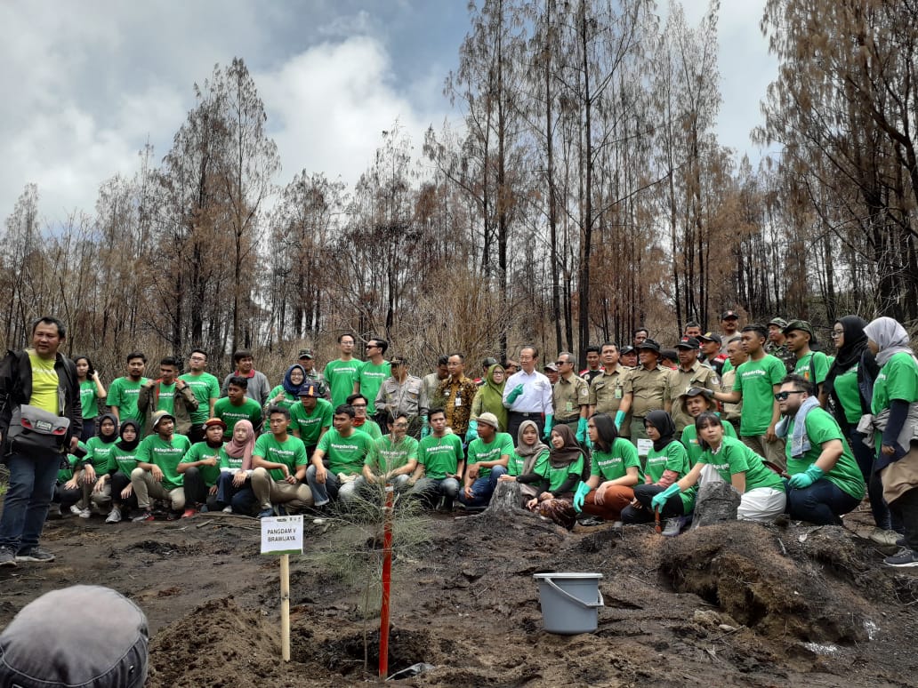 Bareng Generasi Milenial, Djarum Foundation Hijaukan Pegunungan Ijen Usai Kebakaran Oktober Lalu