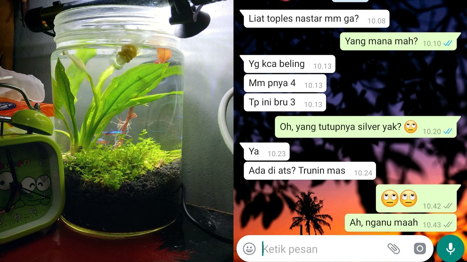 Kisah Toples Emak yang Dijadiin Akuarium oleh Anaknya. Nggak Cuma Tupperware yang Bisa Bikin Murka!