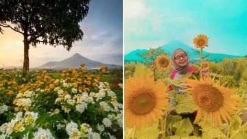 Indahnya Taman Bunga Adn Firdaus Pandaan, Destinasi Instagramable di Kabupaten Pasuruan!