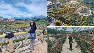 Kebun Bunga Refugia, Destinasi dengan Bunga Warna-warni yang Hits Banget di Magetan!