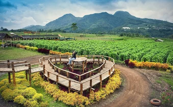 Serunya Liburan Akhir Tahun ke Desa Pujon Kidul, Malang. Ssst, Ada Kafe di Tengah Sawah!