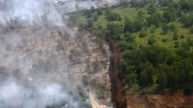 Kumpulan Potret Pilu Kebakaran Hutan Tahun 2019 di Indonesia. Tahun Depan, Jangan Lagi Ada!