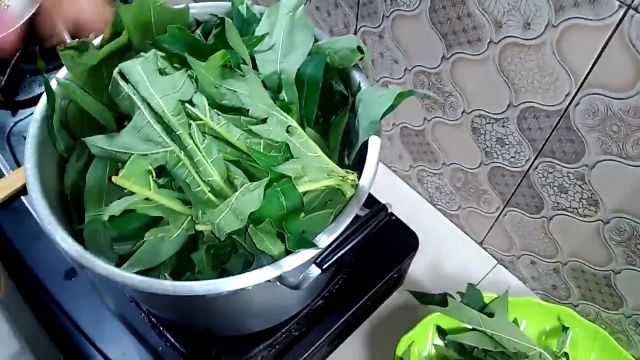 8 Cara Menghilangkan Rasa Pahit Daun Pepaya. Sobat Takut Getir Nggak Khawatir Makan Lagi!