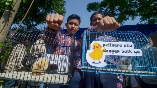 Walikota Bandung Kena Semprot Organisasi PETA Karena Bagikan Anak Ayam ke Pelajar. Ini lo Alasannya