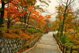 Namsan Park