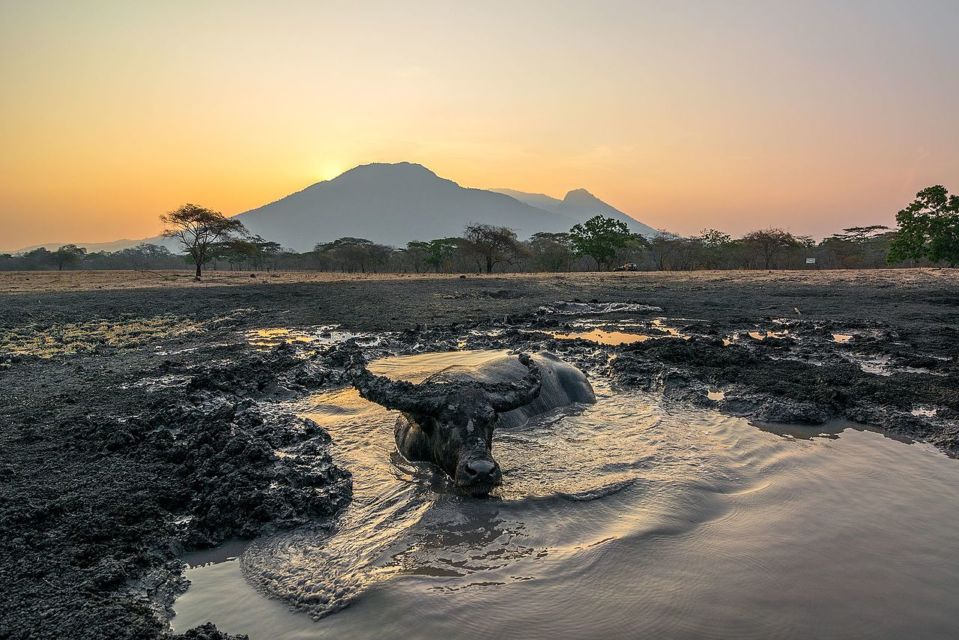 7 Destinasi Wisata Alam yang Cantik di Banyuwangi. Sunrise of Java yang Pemandangannya Juara!