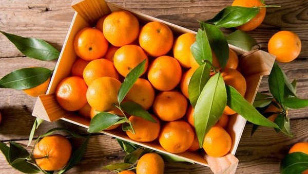 Buah Jeruk mandarin