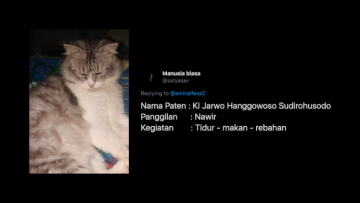 Nggak Cuma si Belang dan Katty, Inilah Deretan Nama Kucing yang Paling Nggak Kepikiran. Bisa Aja! :D