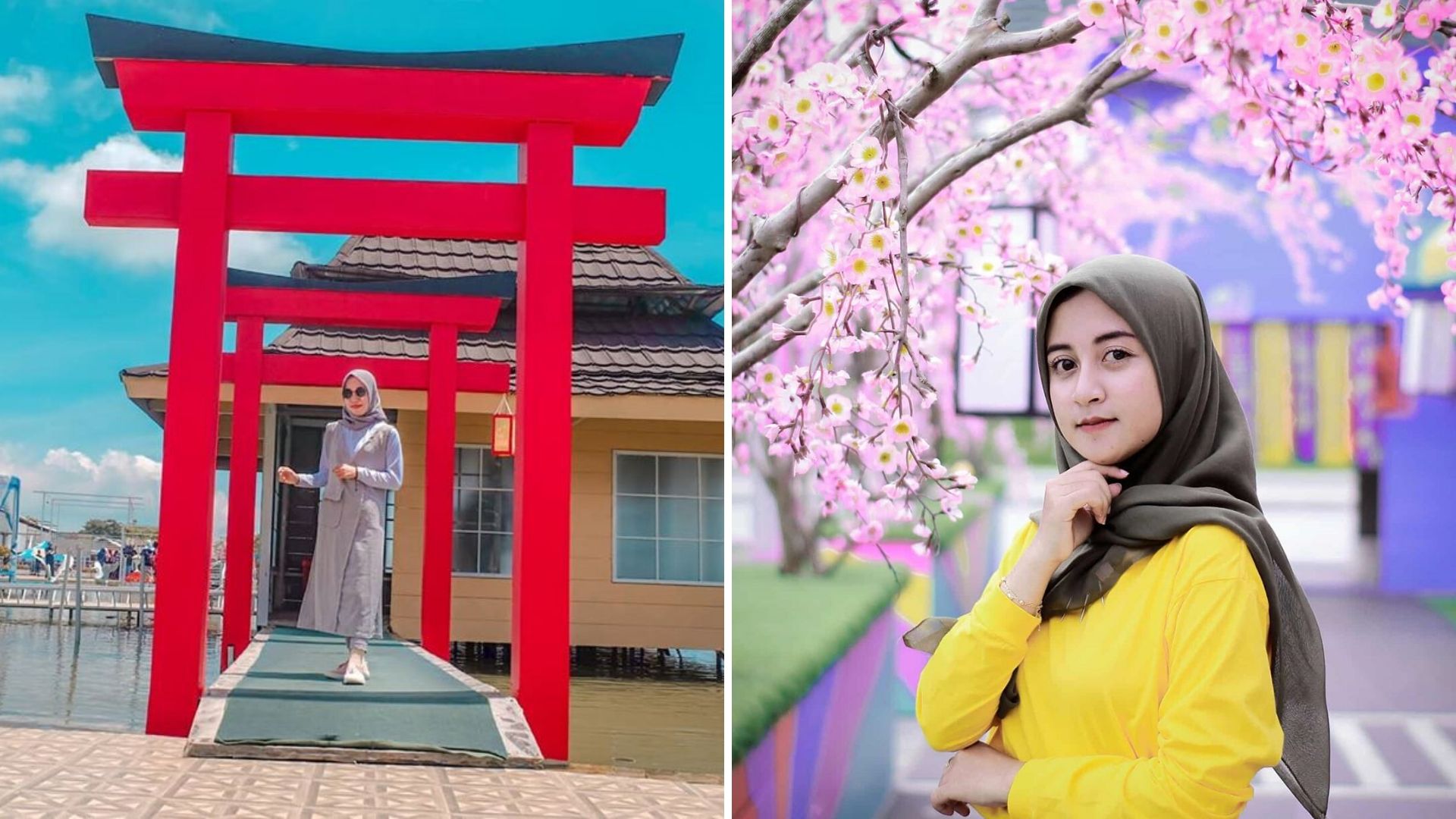 Cantiknya Taman Celosia Happy and Fun Bandungan. Serasa Musim Sakura di Jepang dan Korea Selatan!