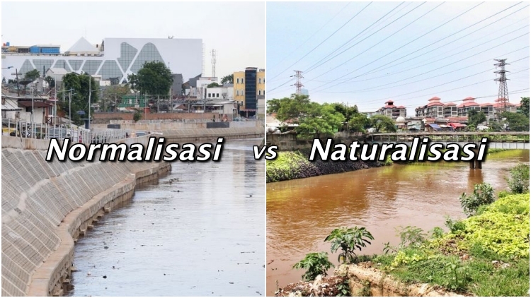 Normalisasi dan Naturalisasi Sungai Sebagai Solusi Banjir Jabodetabek. Yuk, Kenali 4 Bedanya