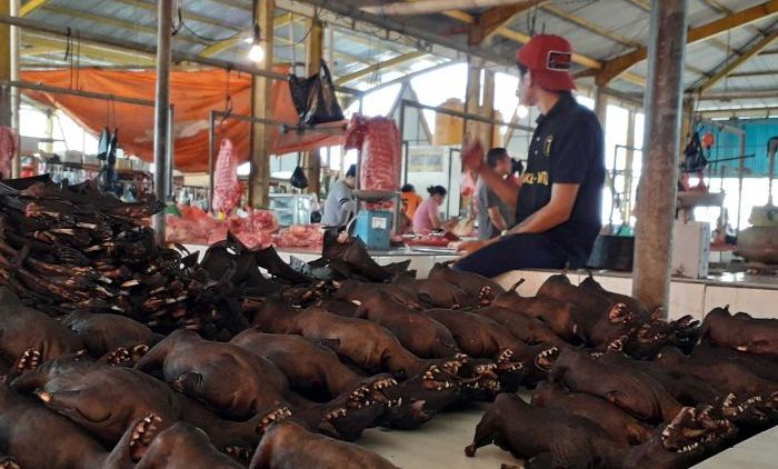 Hindari Virus Corona, Pasar Tomohon di Sulawesi Utara Berhenti Jual Daging Kelelawar dan Ular